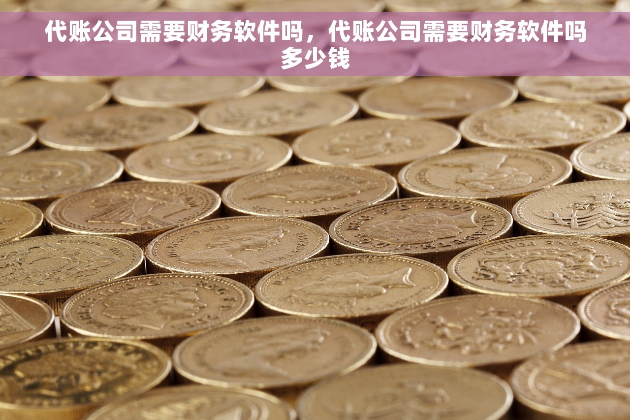 代账公司需要财务软件吗，代账公司需要财务软件吗多少钱