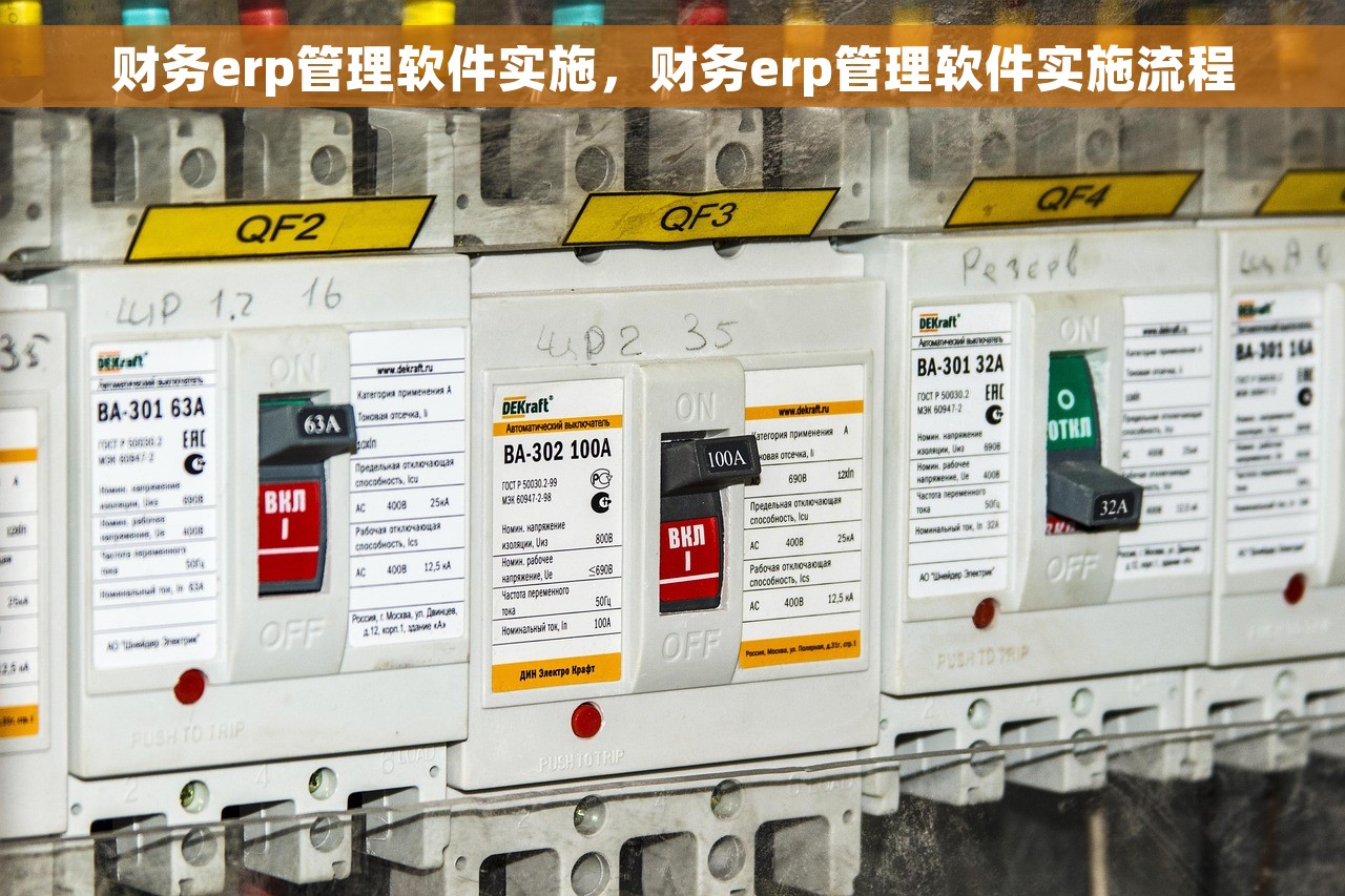 财务erp管理软件实施，财务erp管理软件实施流程