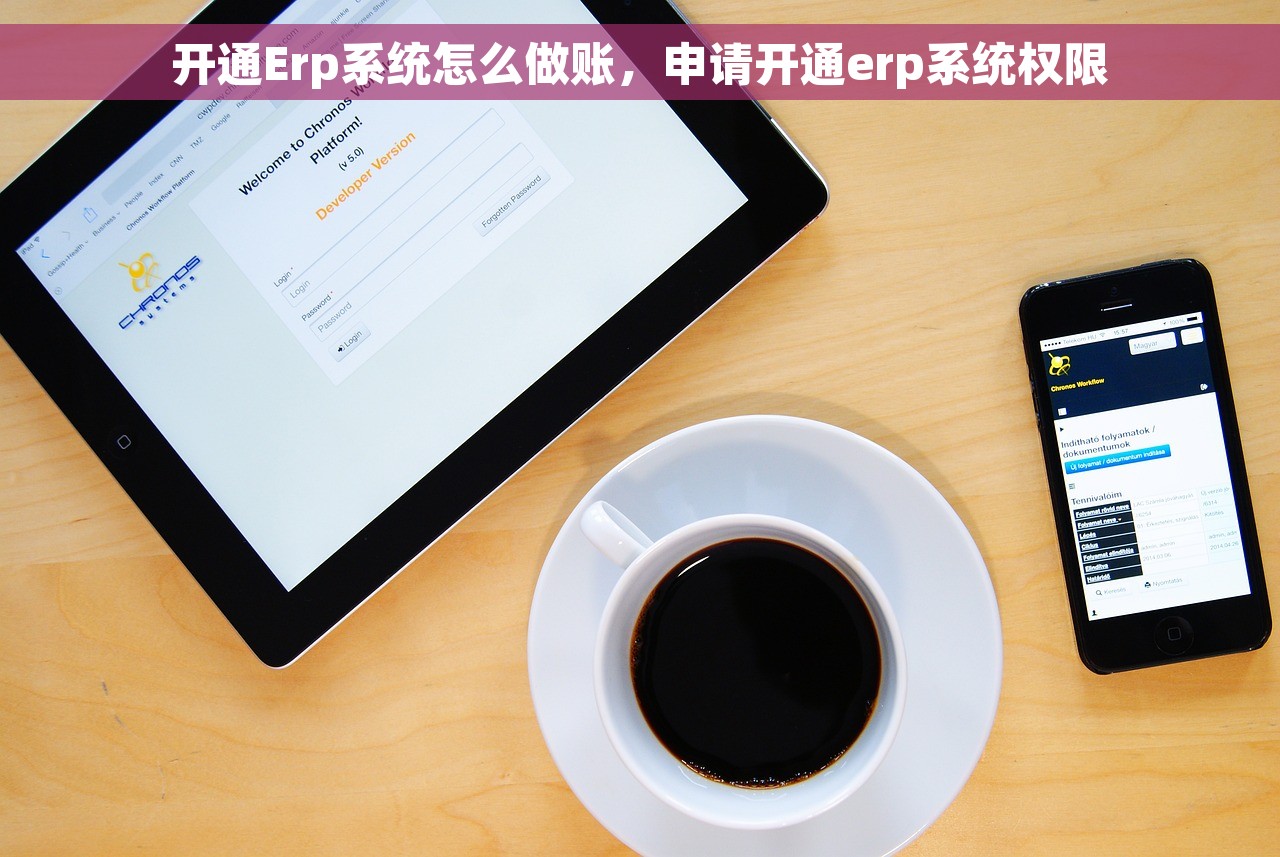 开通Erp系统怎么做账，申请开通erp系统权限