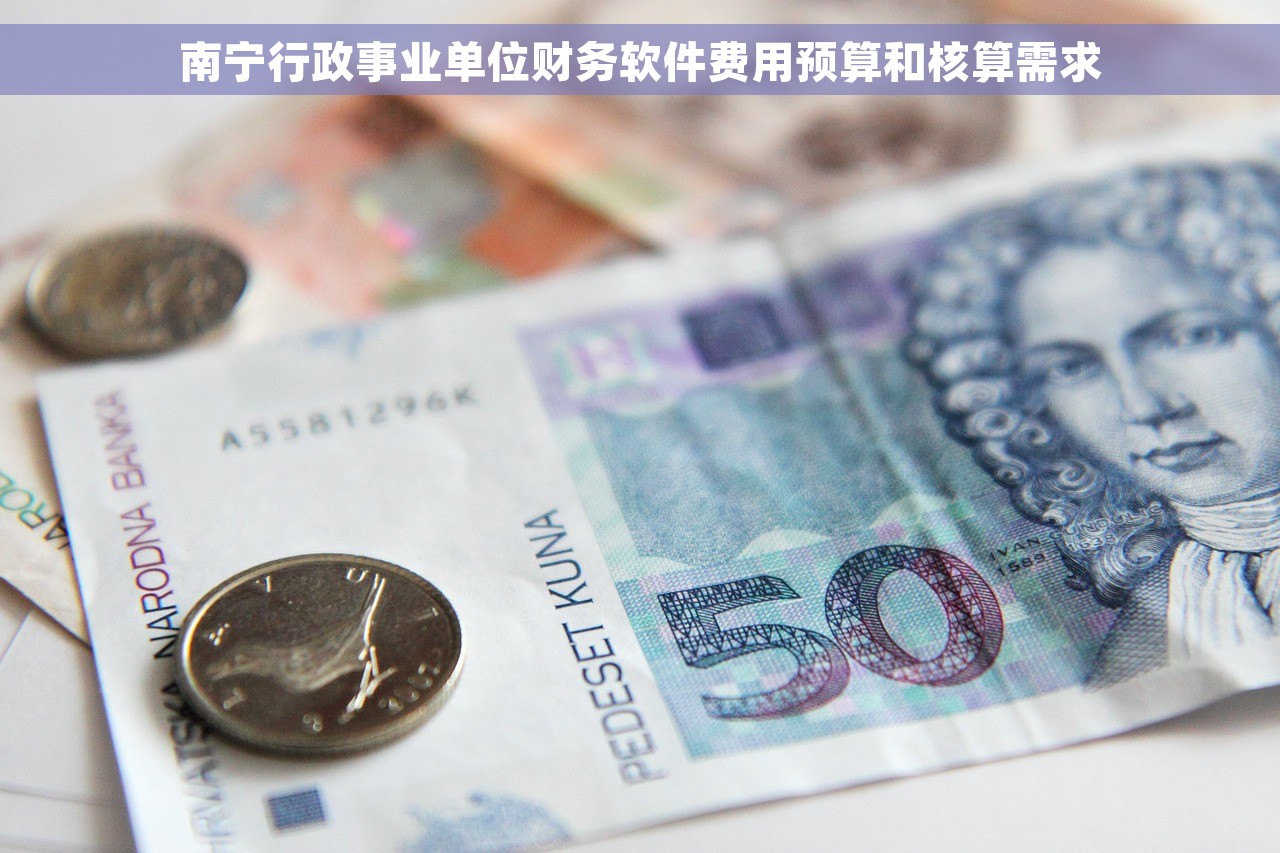 南宁行政事业单位财务软件费用预算和核算需求