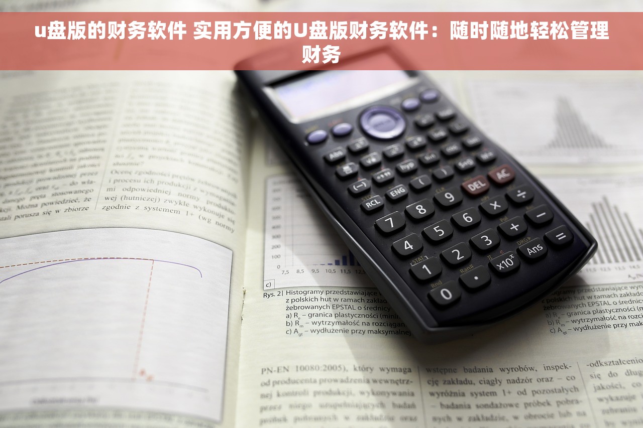 u盘版的财务软件 实用方便的U盘版财务软件：随时随地轻松管理财务