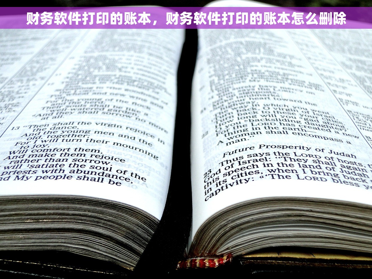 财务软件打印的账本，财务软件打印的账本怎么删除