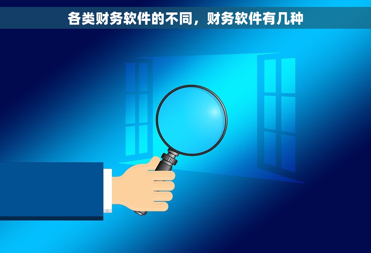 各类财务软件的不同，财务软件有几种