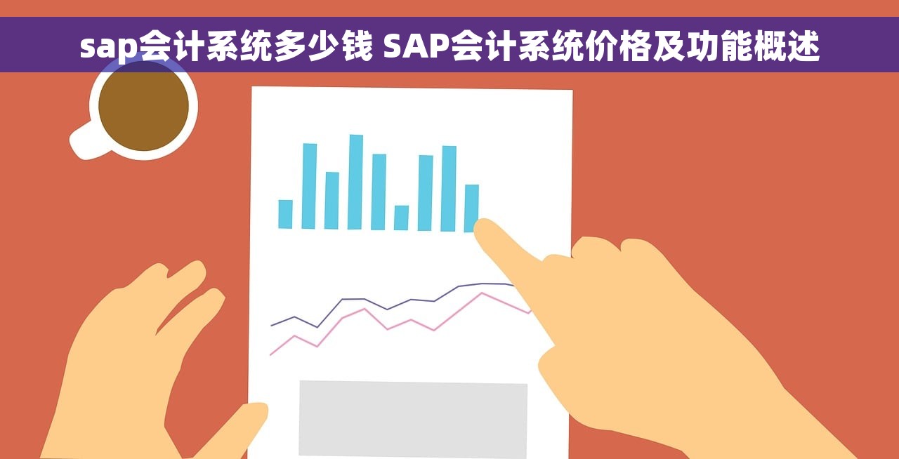 sap会计系统多少钱 SAP会计系统价格及功能概述