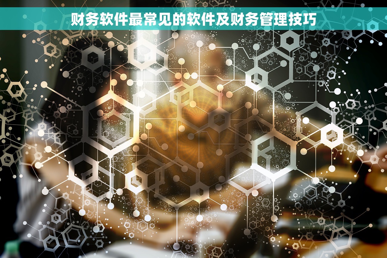 财务软件最常见的软件及财务管理技巧