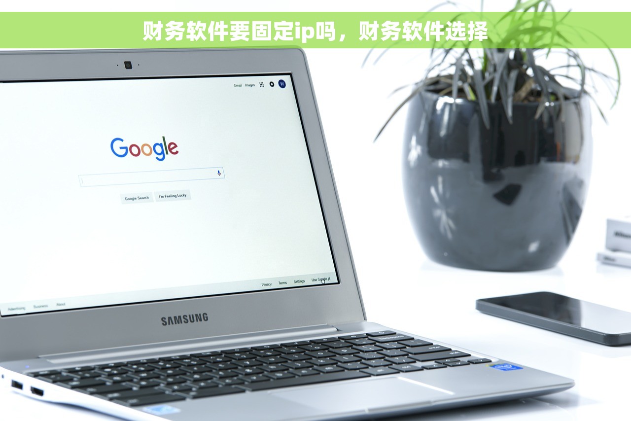 财务软件要固定ip吗，财务软件选择