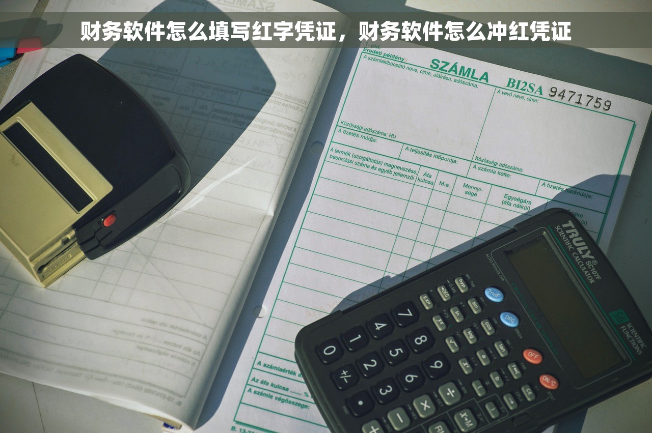 财务软件怎么填写红字凭证，财务软件怎么冲红凭证
