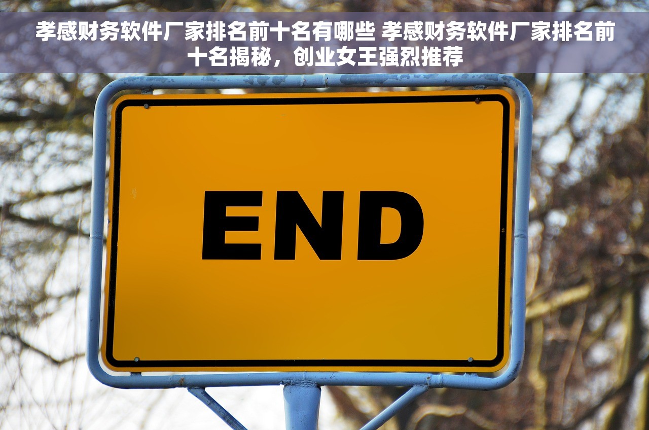 孝感财务软件厂家排名前十名有哪些 孝感财务软件厂家排名前十名揭秘，创业女王强烈推荐