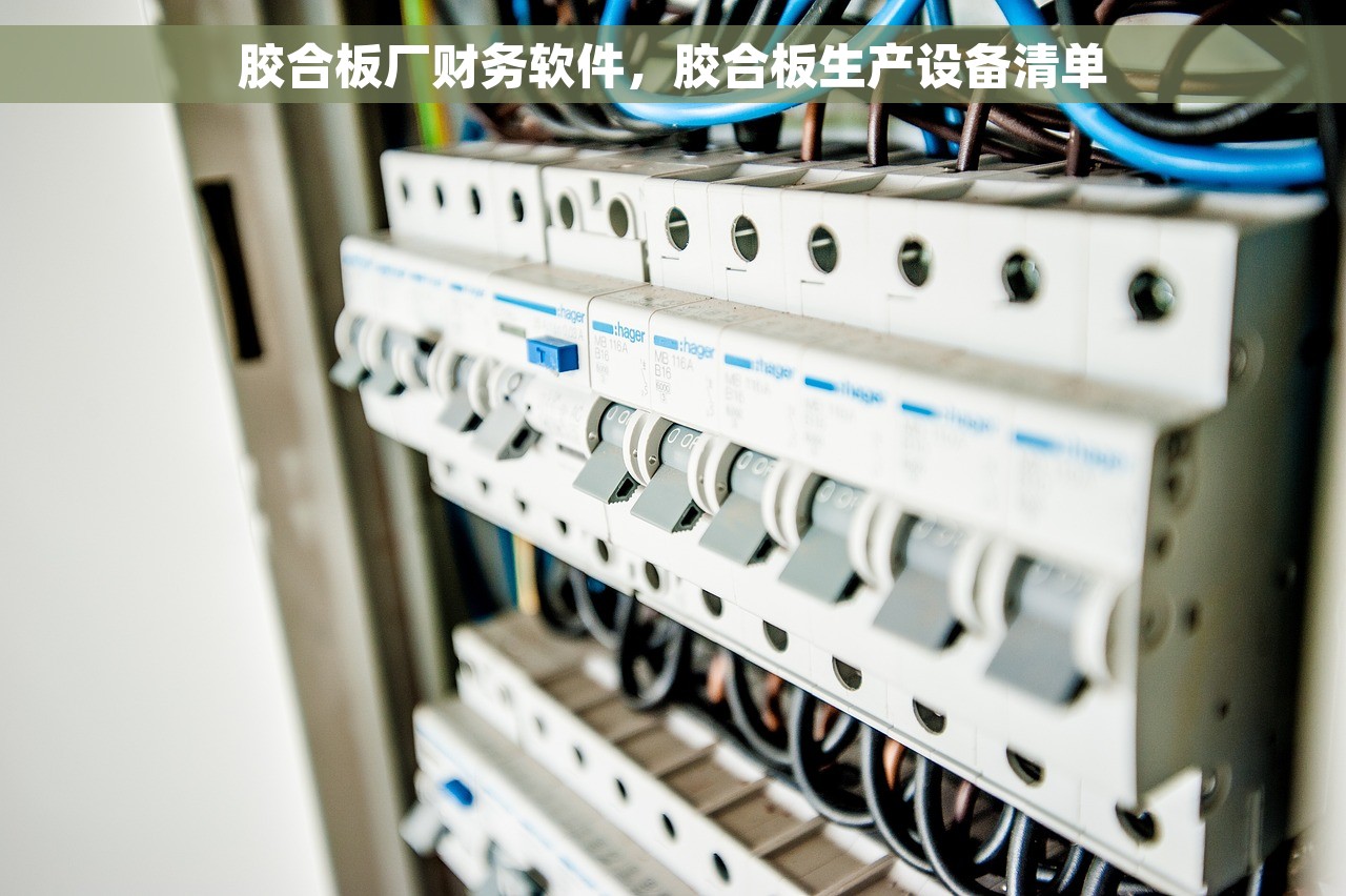 胶合板厂财务软件，胶合板生产设备清单