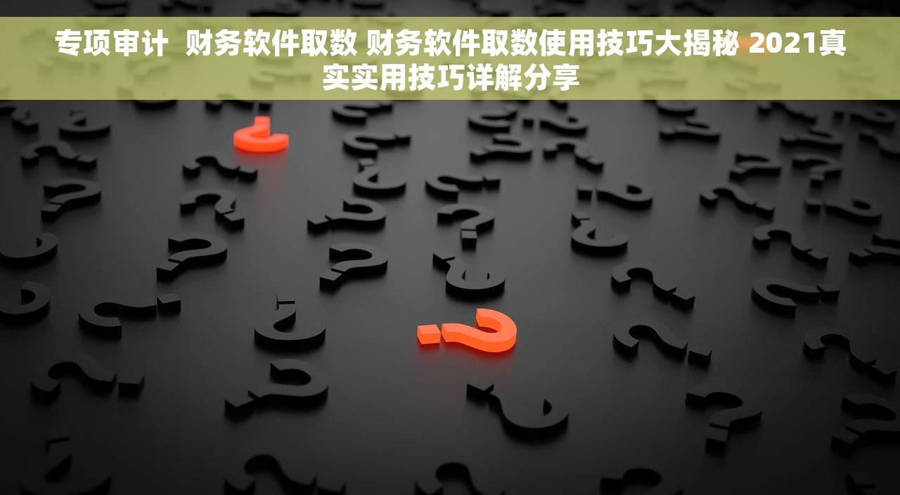 专项审计  财务软件取数 财务软件取数使用技巧大揭秘 2021真实实用技巧详解分享