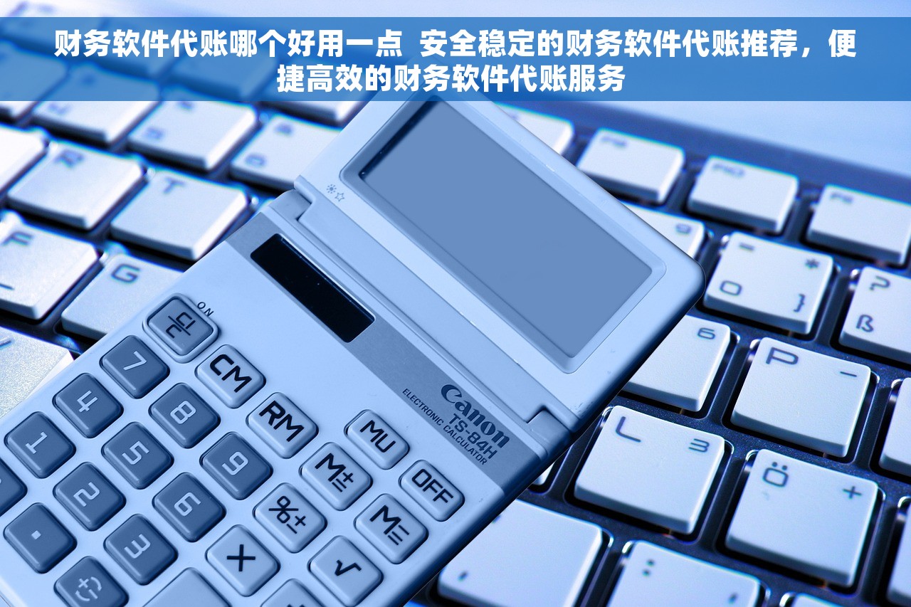 财务软件代账哪个好用一点  安全稳定的财务软件代账推荐，便捷高效的财务软件代账服务 
