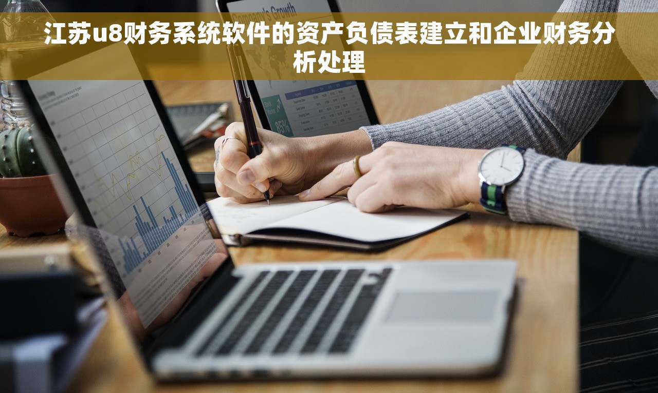 江苏u8财务系统软件的资产负债表建立和企业财务分析处理