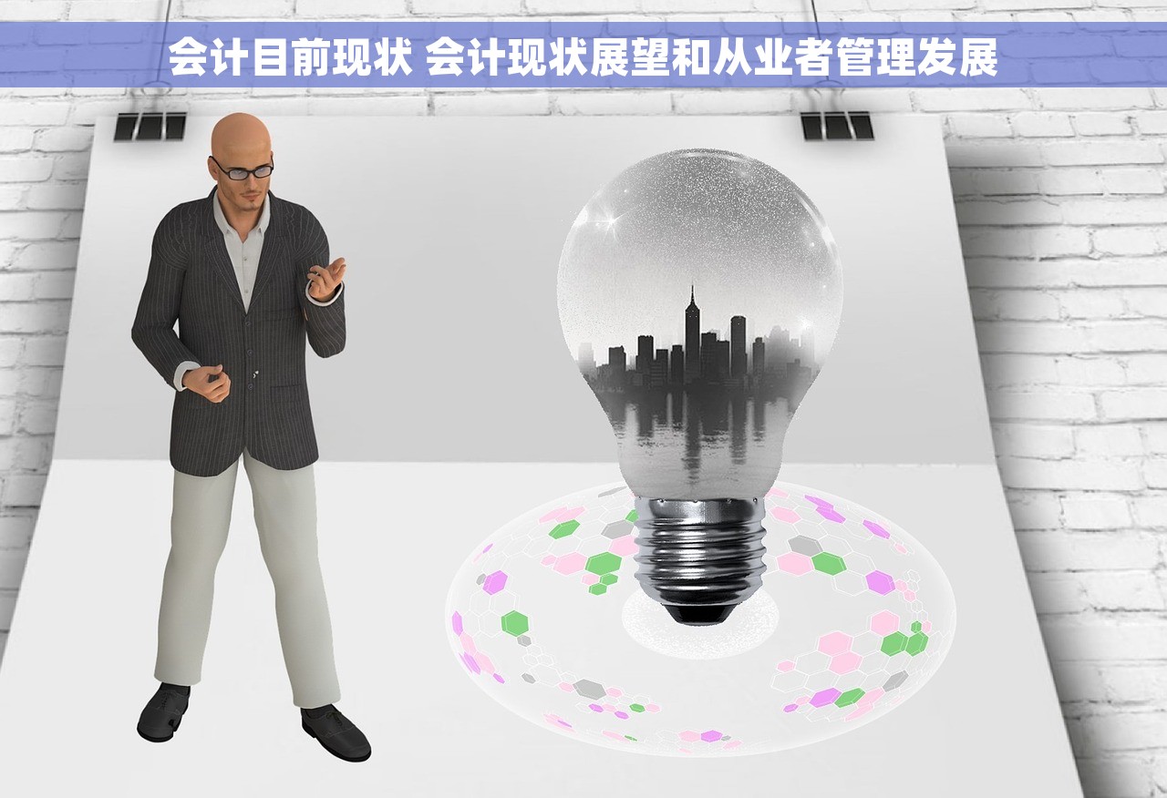 会计目前现状 会计现状展望和从业者管理发展