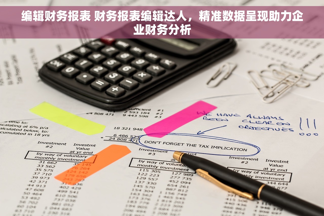 编辑财务报表 财务报表编辑达人，精准数据呈现助力企业财务分析
