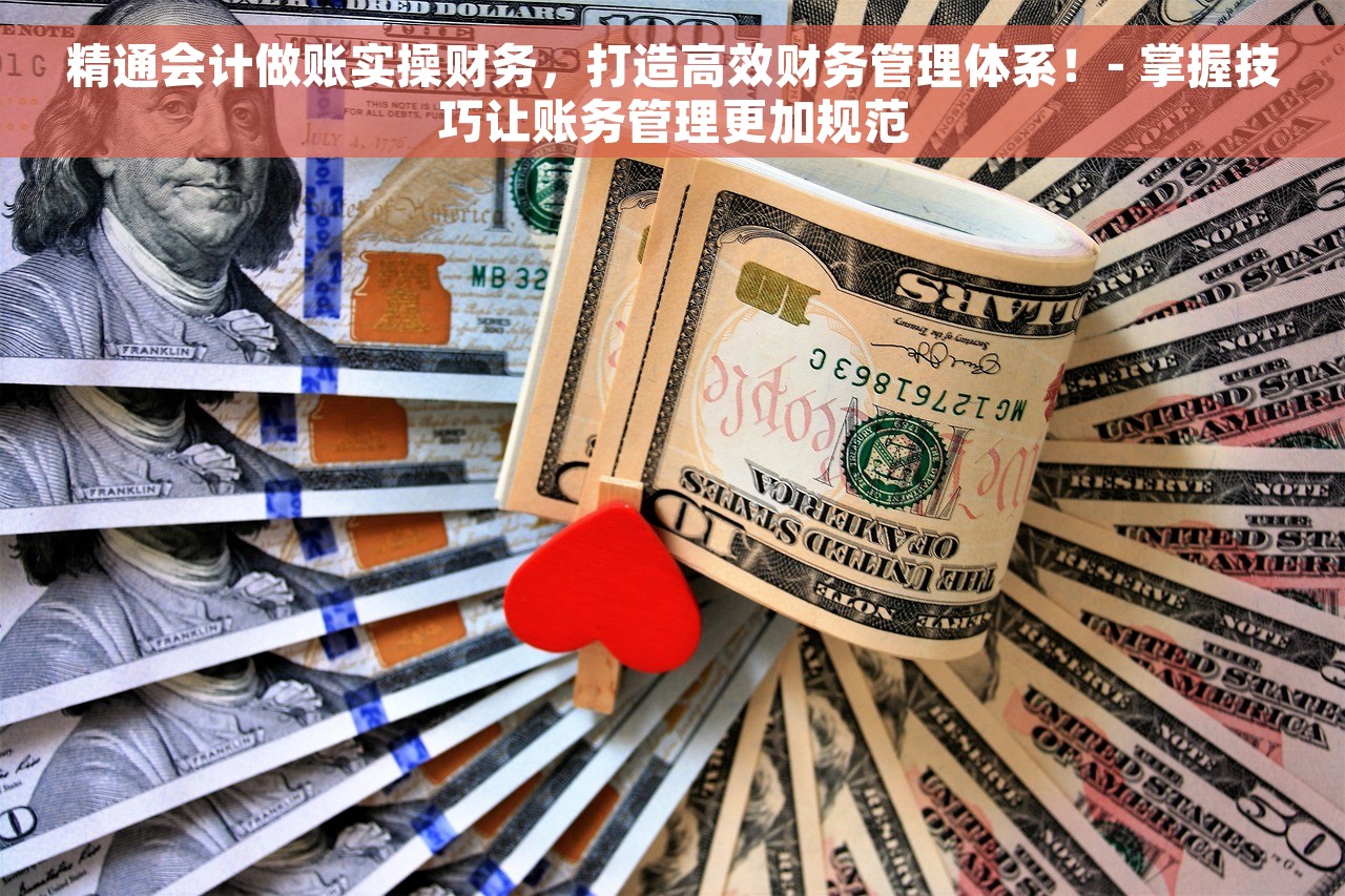精通会计做账实操财务，打造高效财务管理体系！- 掌握技巧让账务管理更加规范