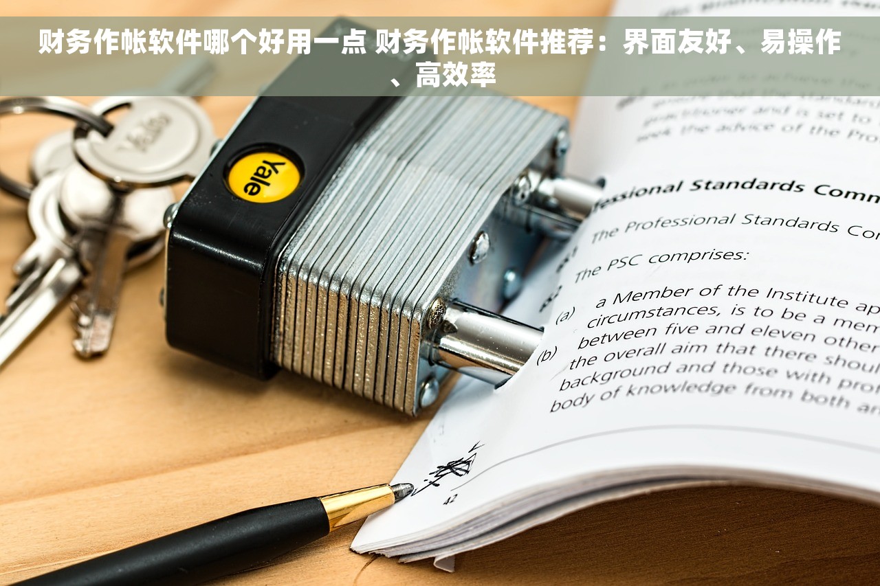 财务作帐软件哪个好用一点 财务作帐软件推荐：界面友好、易操作、高效率