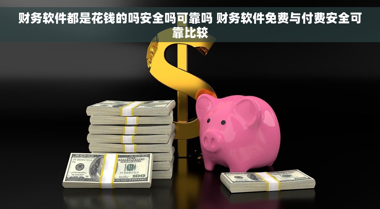 财务软件都是花钱的吗安全吗可靠吗 财务软件免费与付费安全可靠比较