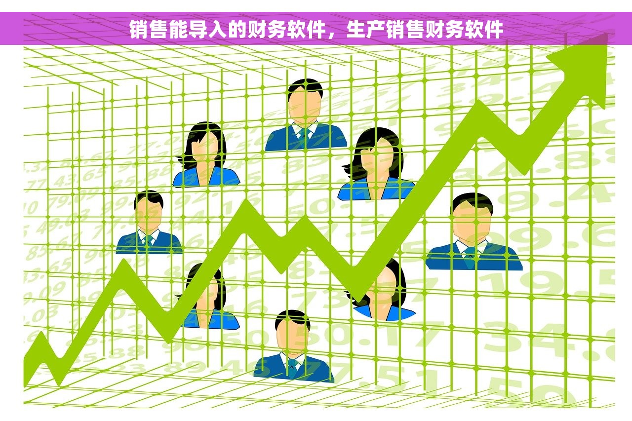 销售能导入的财务软件，生产销售财务软件