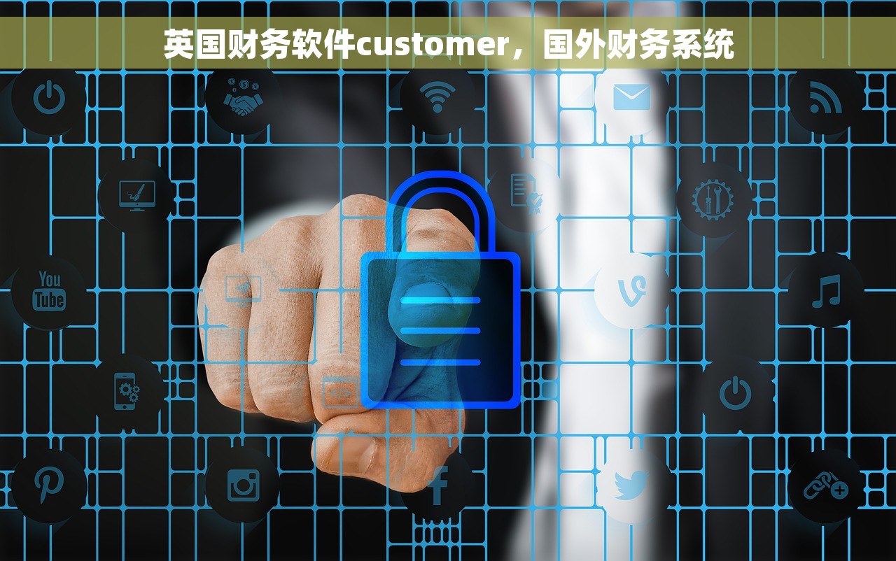 英国财务软件customer，国外财务系统