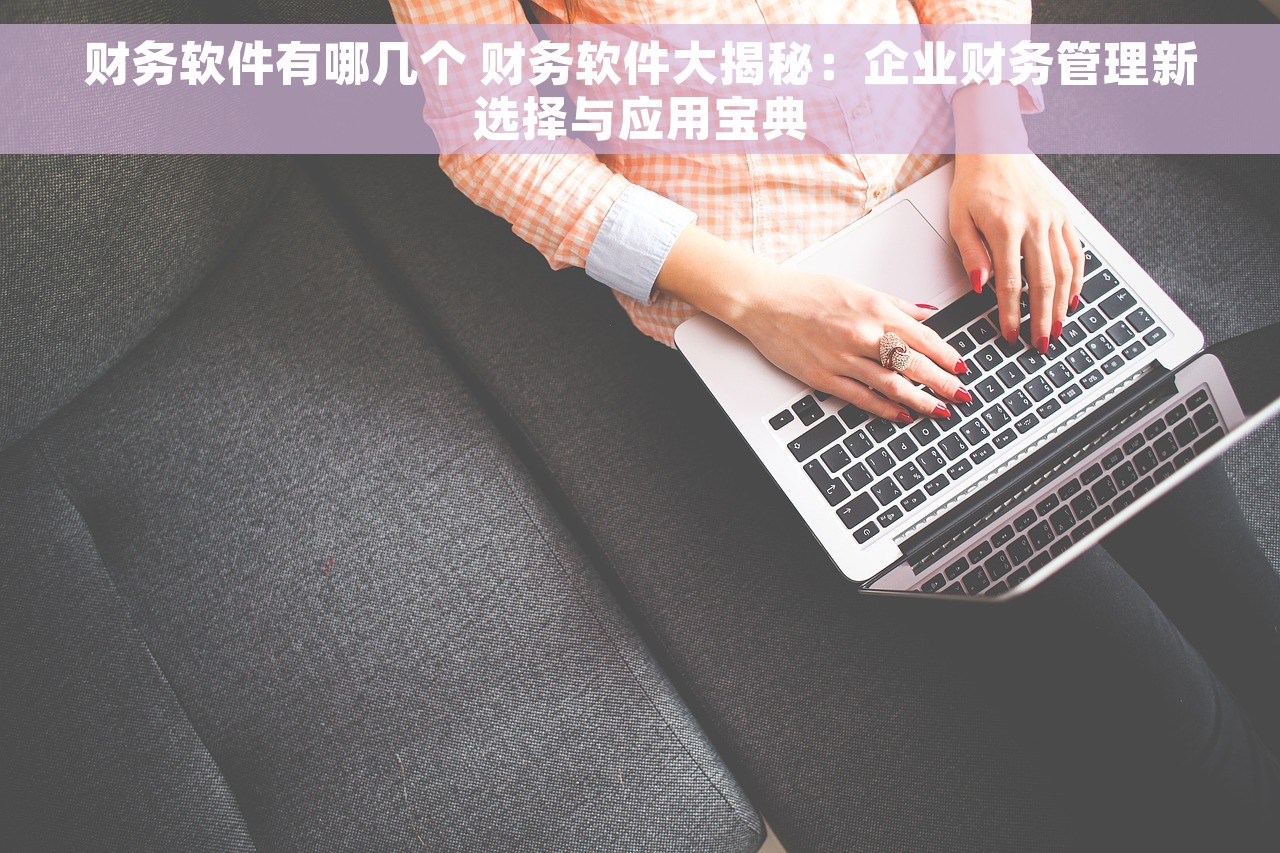 财务软件有哪几个 财务软件大揭秘：企业财务管理新选择与应用宝典