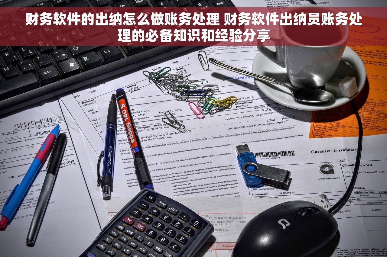 财务软件的出纳怎么做账务处理 财务软件出纳员账务处理的必备知识和经验分享