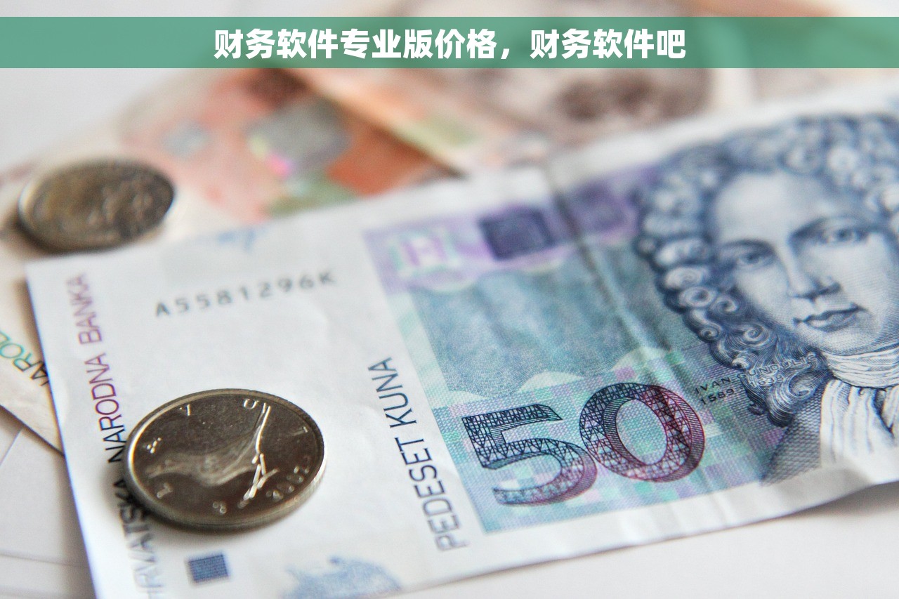 财务软件专业版价格，财务软件吧