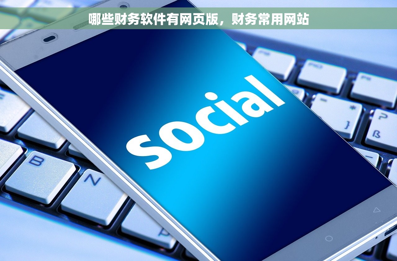 哪些财务软件有网页版，财务常用网站