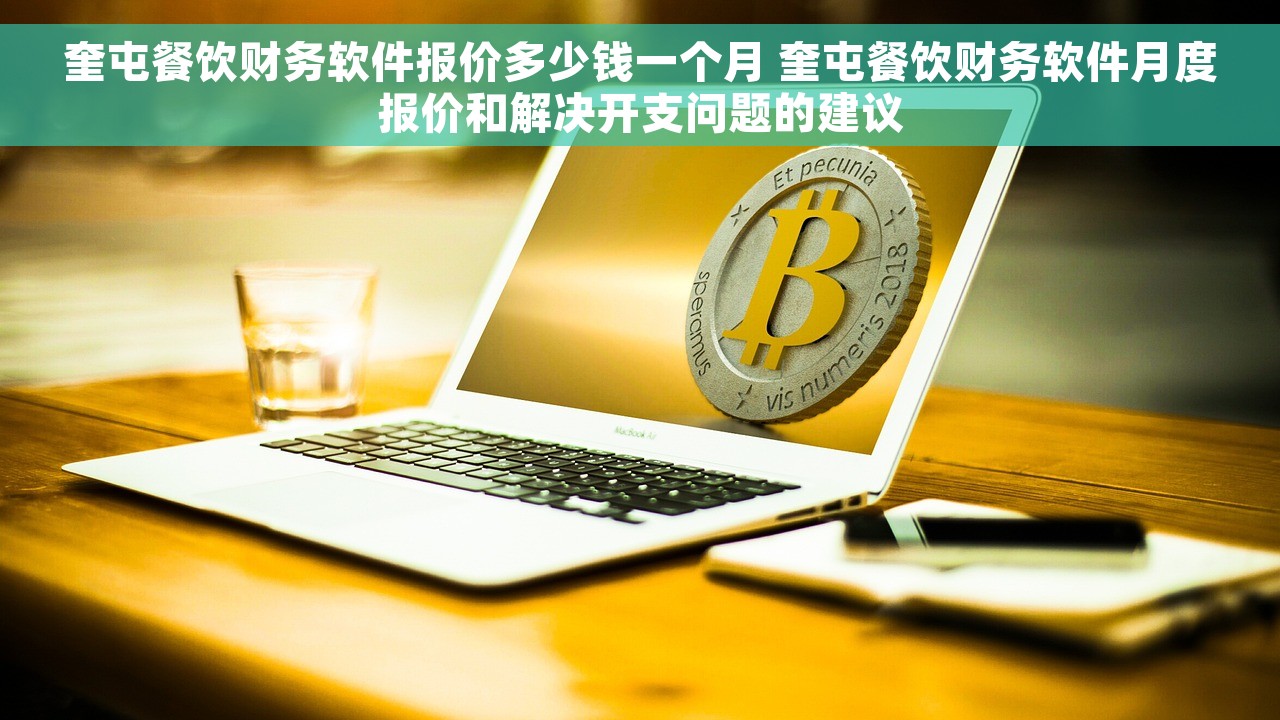 奎屯餐饮财务软件报价多少钱一个月 奎屯餐饮财务软件月度报价和解决开支问题的建议