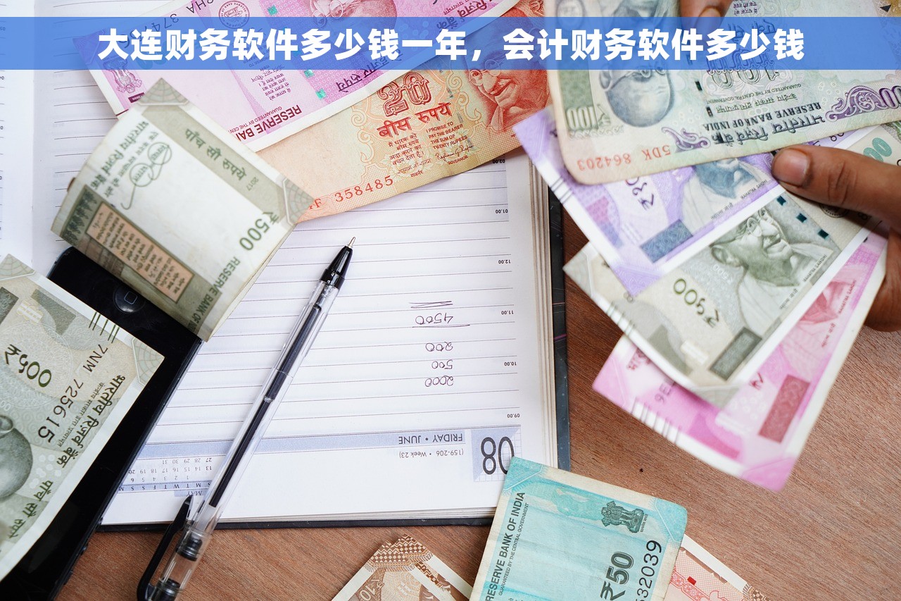 大连财务软件多少钱一年，会计财务软件多少钱