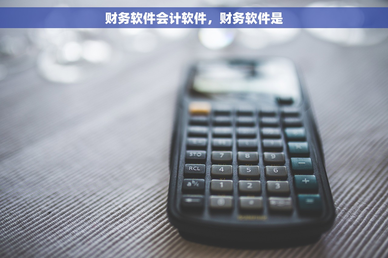 财务软件会计软件，财务软件是