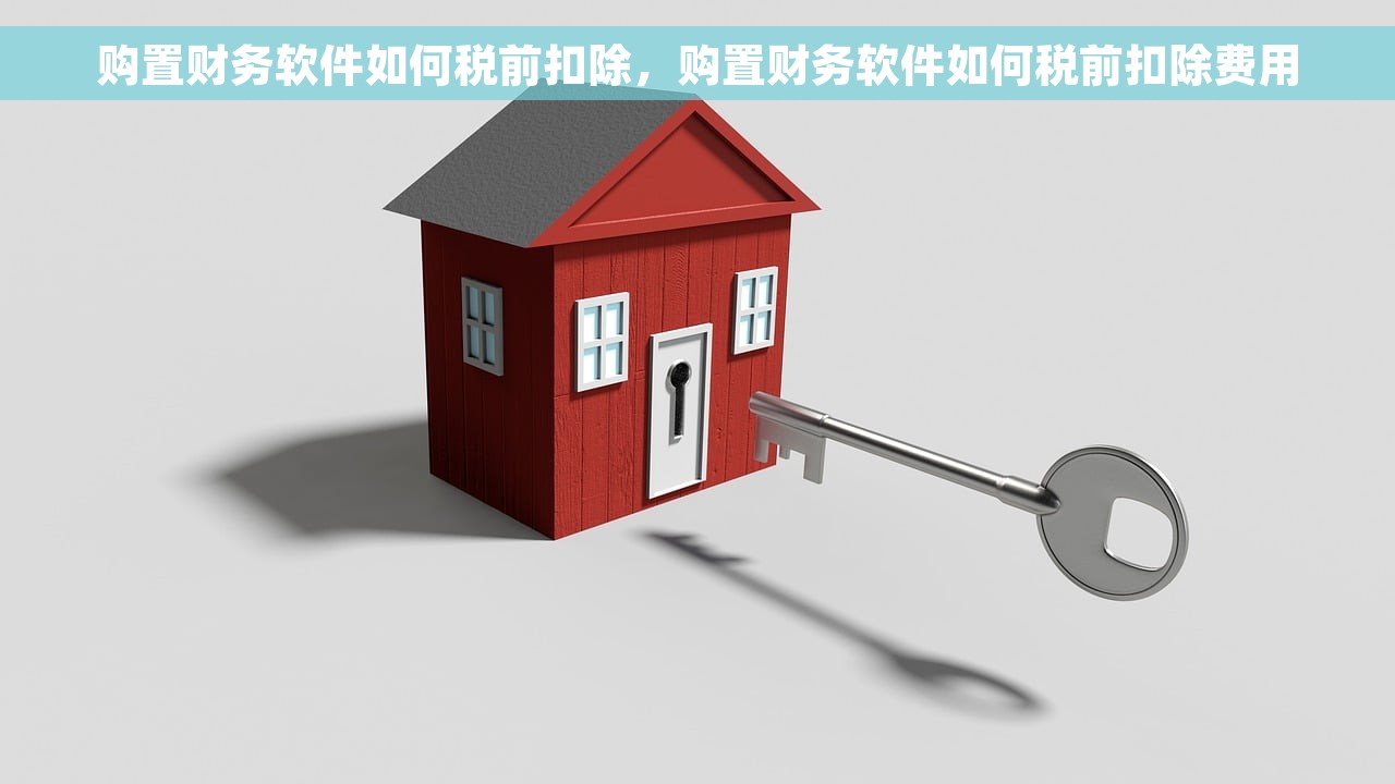 购置财务软件如何税前扣除，购置财务软件如何税前扣除费用