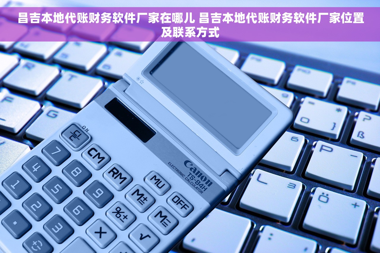 昌吉本地代账财务软件厂家在哪儿 昌吉本地代账财务软件厂家位置及联系方式