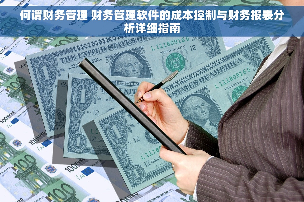 何谓财务管理 财务管理软件的成本控制与财务报表分析详细指南