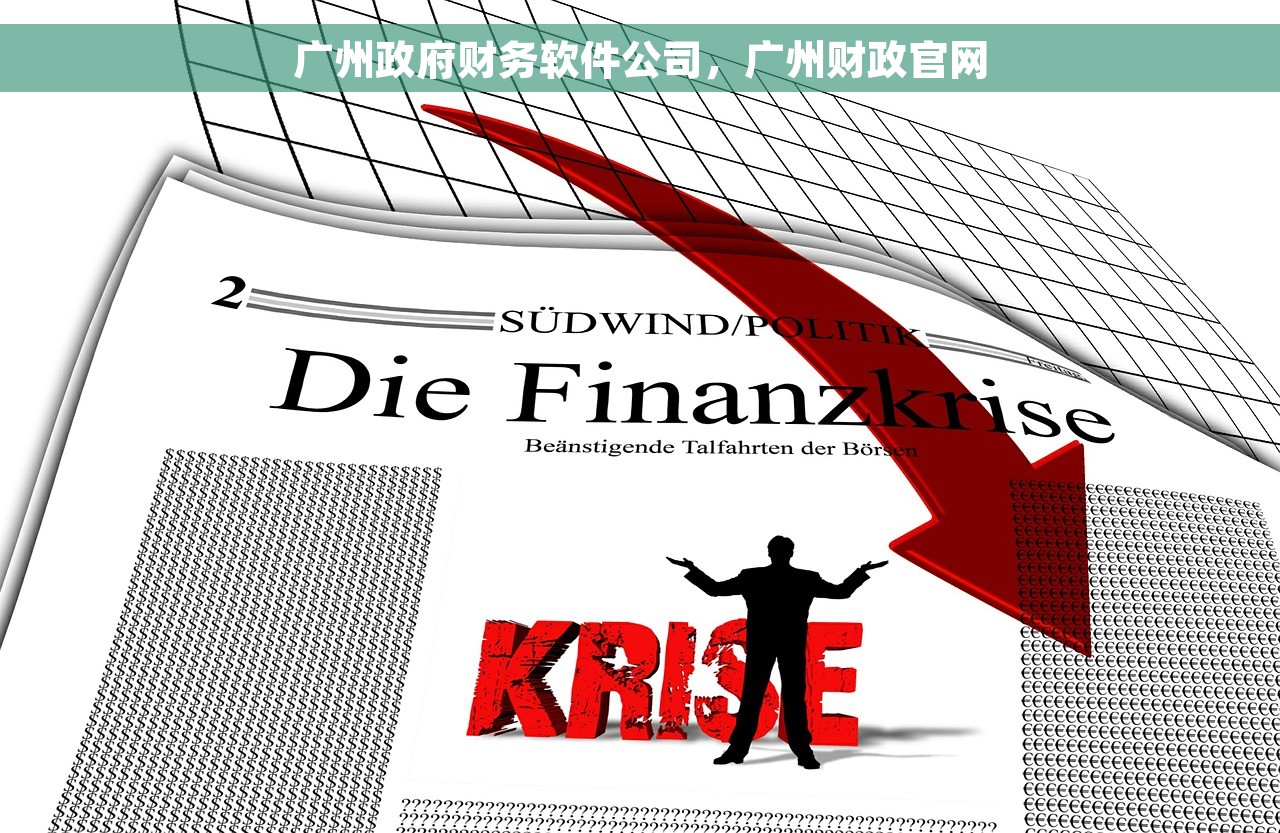 广州政府财务软件公司，广州财政官网