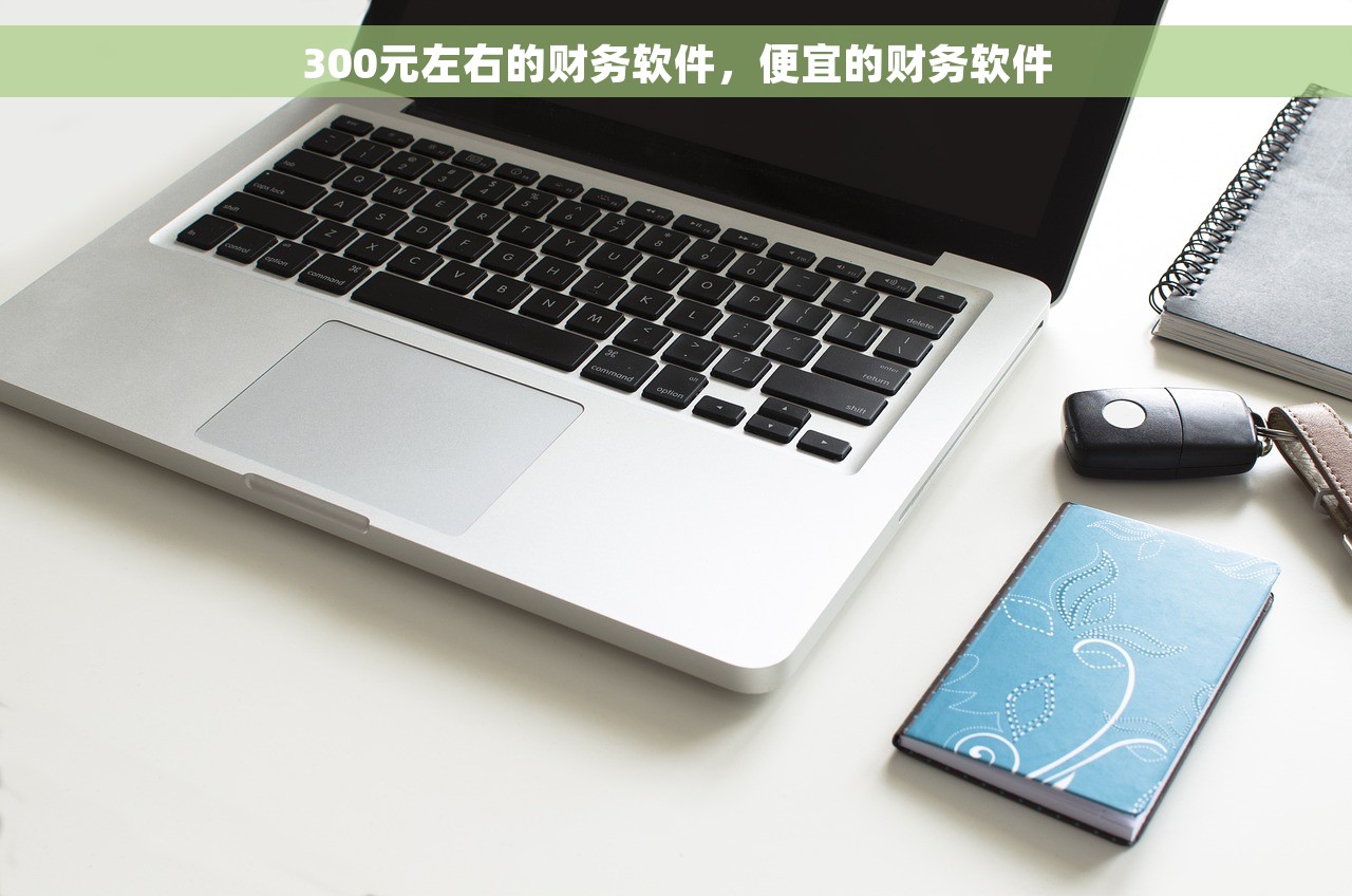 300元左右的财务软件，便宜的财务软件