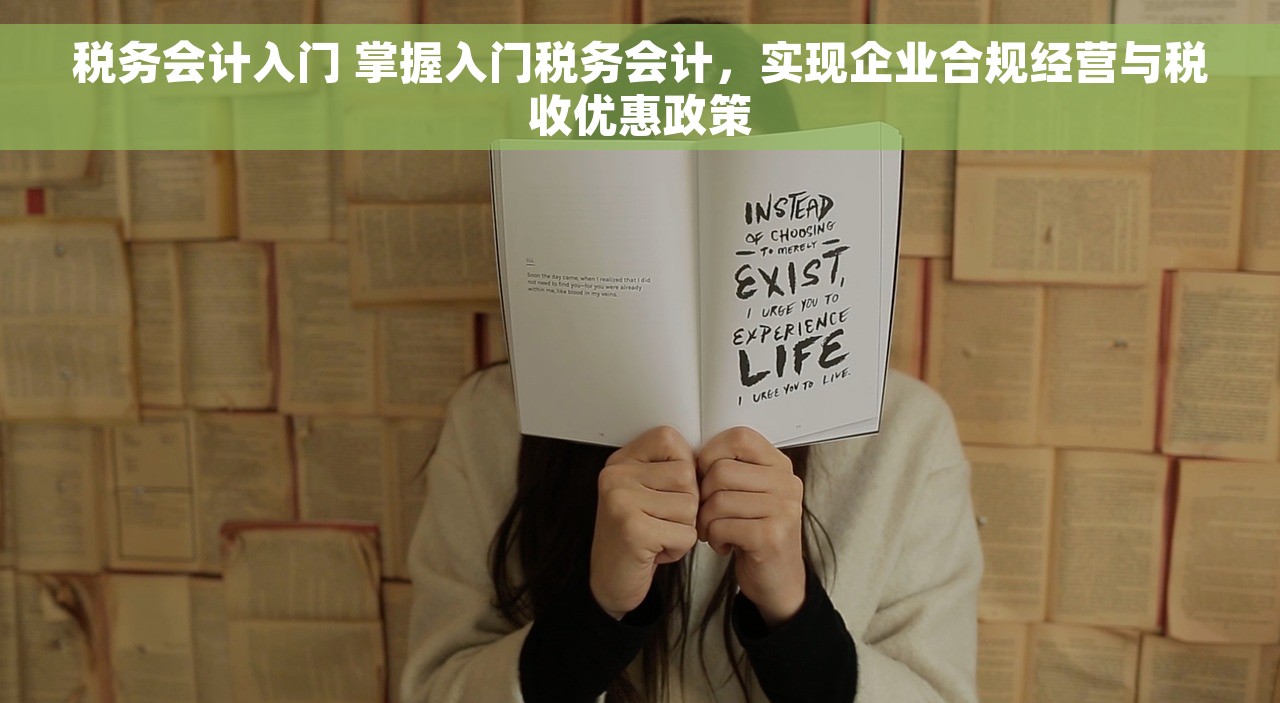税务会计入门 掌握入门税务会计，实现企业合规经营与税收优惠政策