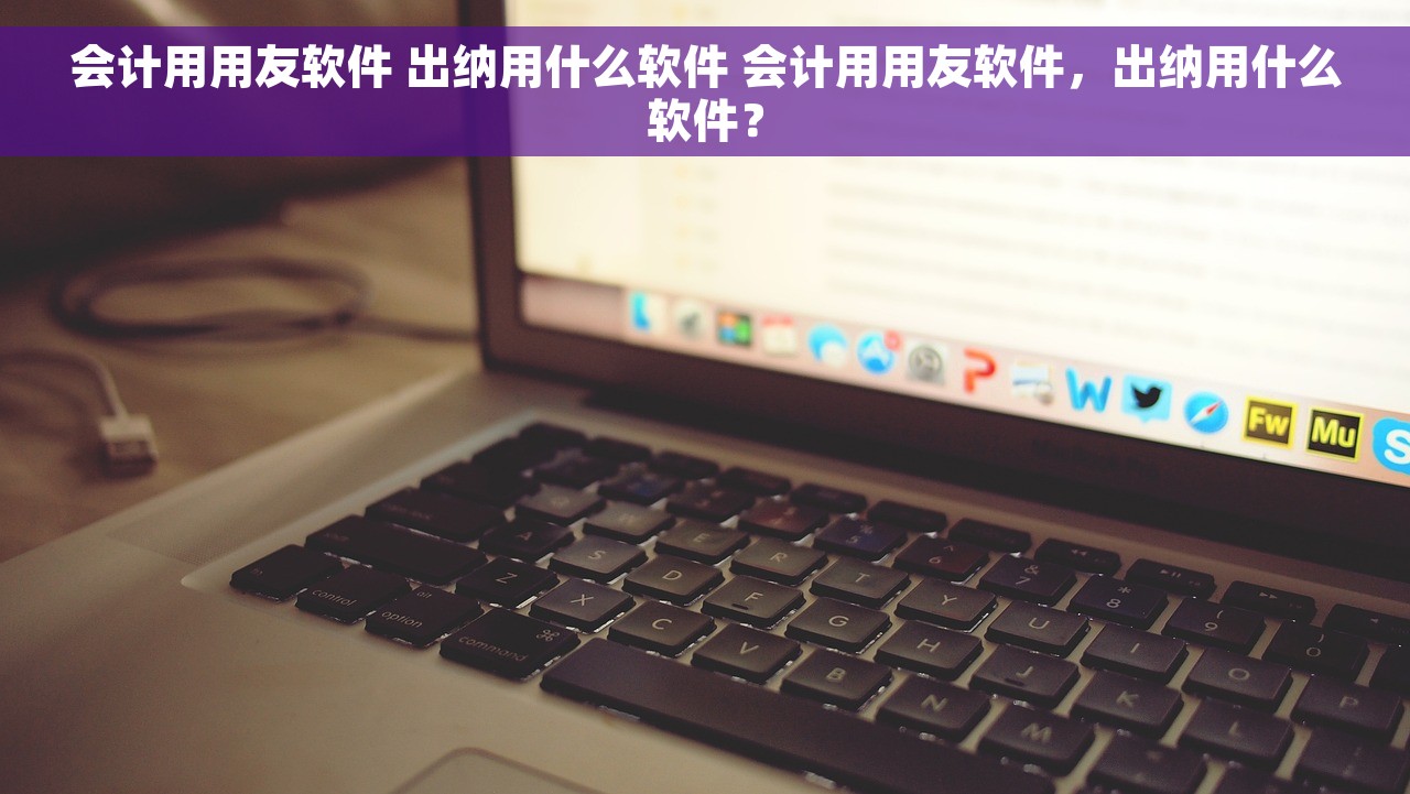 会计用用友软件 出纳用什么软件 会计用用友软件，出纳用什么软件？