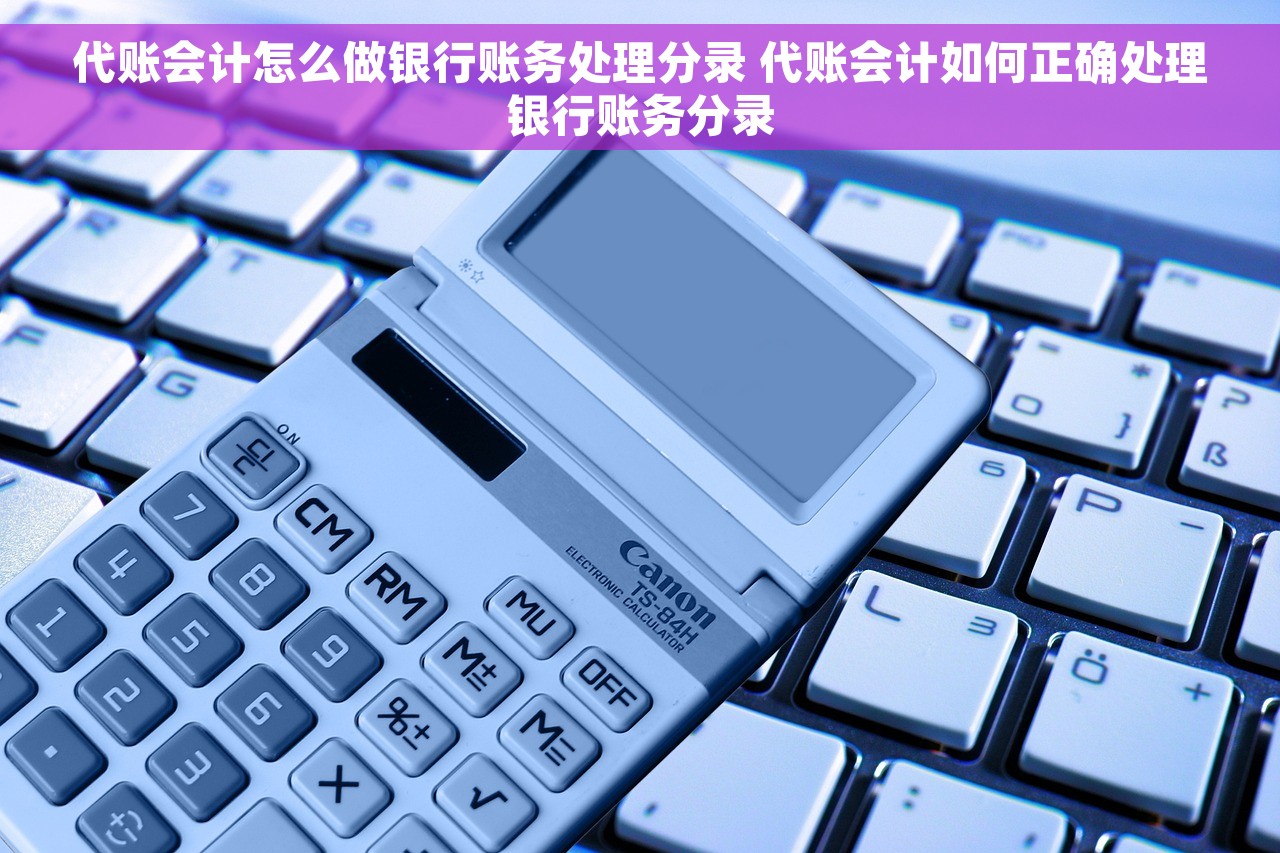 代账会计怎么做银行账务处理分录 代账会计如何正确处理银行账务分录