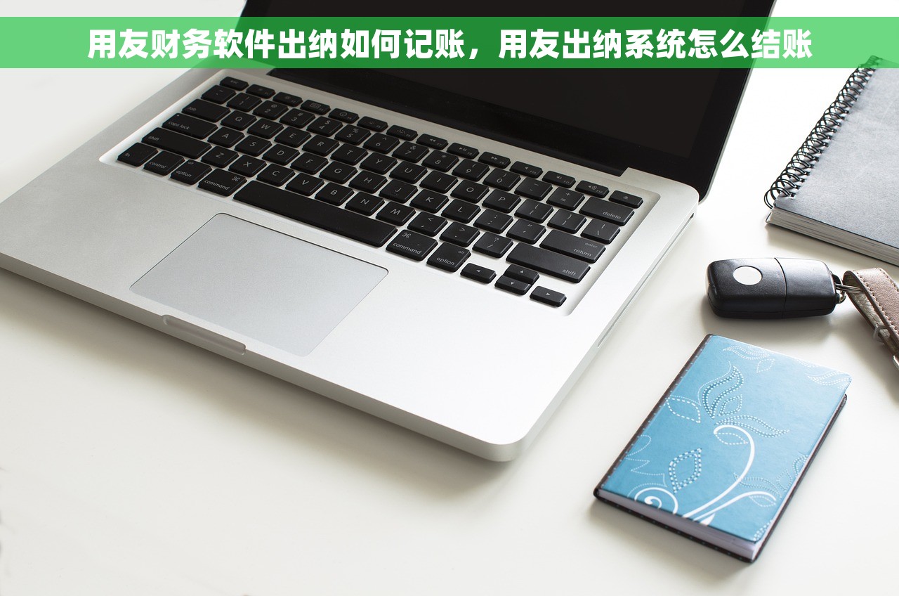 用友财务软件出纳如何记账，用友出纳系统怎么结账