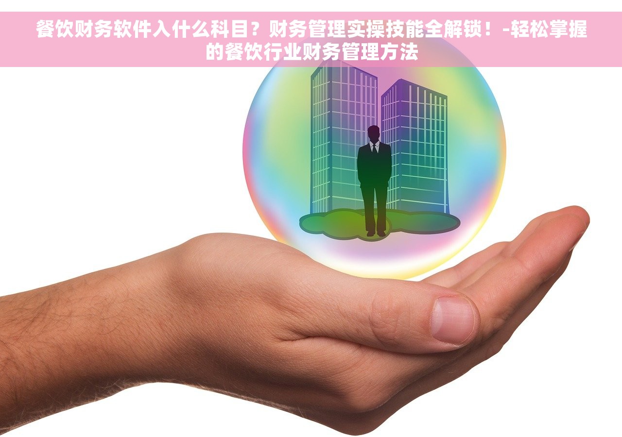 餐饮财务软件入什么科目？财务管理实操技能全解锁！-轻松掌握的餐饮行业财务管理方法