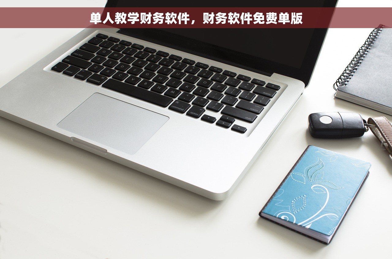 单人教学财务软件，财务软件免费单版