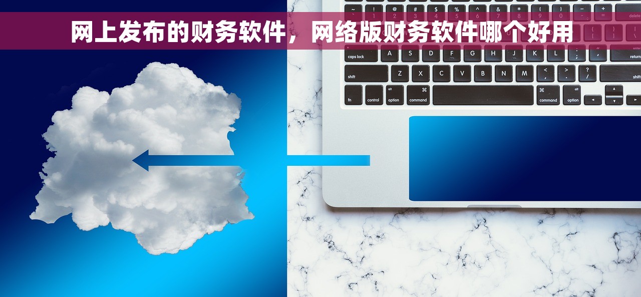 网上发布的财务软件，网络版财务软件哪个好用