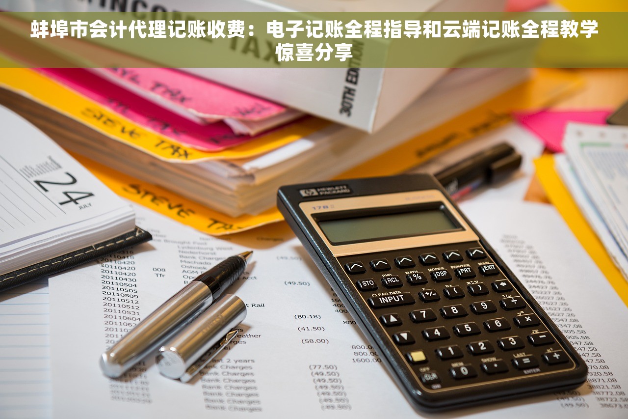 蚌埠市会计代理记账收费：电子记账全程指导和云端记账全程教学惊喜分享