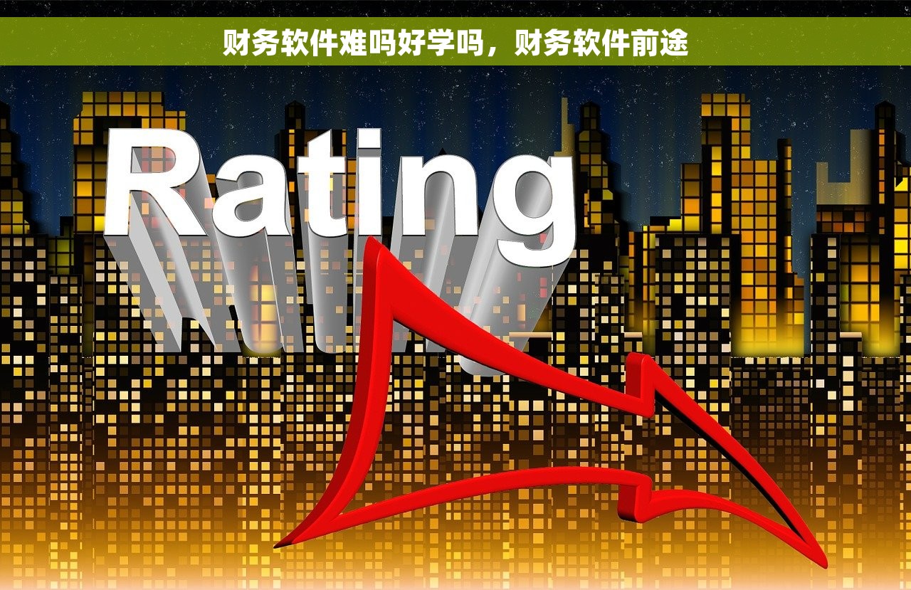财务软件难吗好学吗，财务软件前途