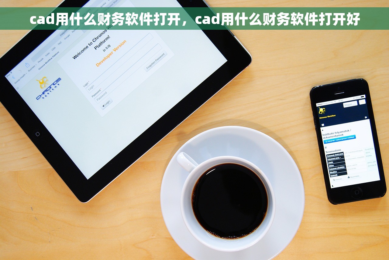 cad用什么财务软件打开，cad用什么财务软件打开好
