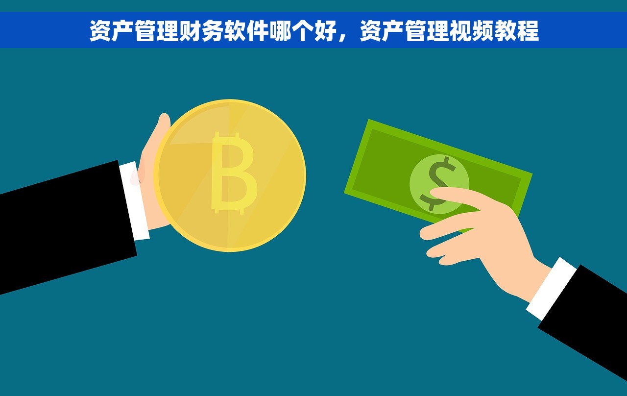 资产管理财务软件哪个好，资产管理视频教程