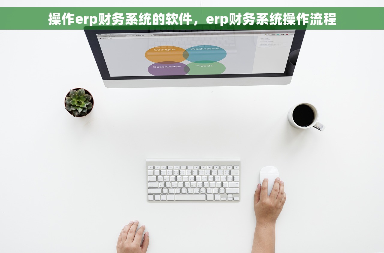 操作erp财务系统的软件，erp财务系统操作流程