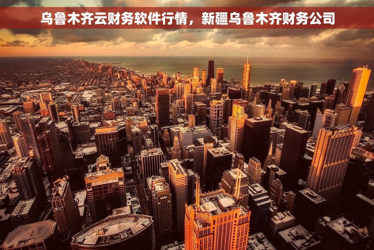 乌鲁木齐云财务软件行情，新疆乌鲁木齐财务公司
