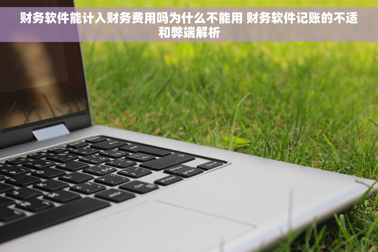 财务软件能计入财务费用吗为什么不能用 财务软件记账的不适和弊端解析