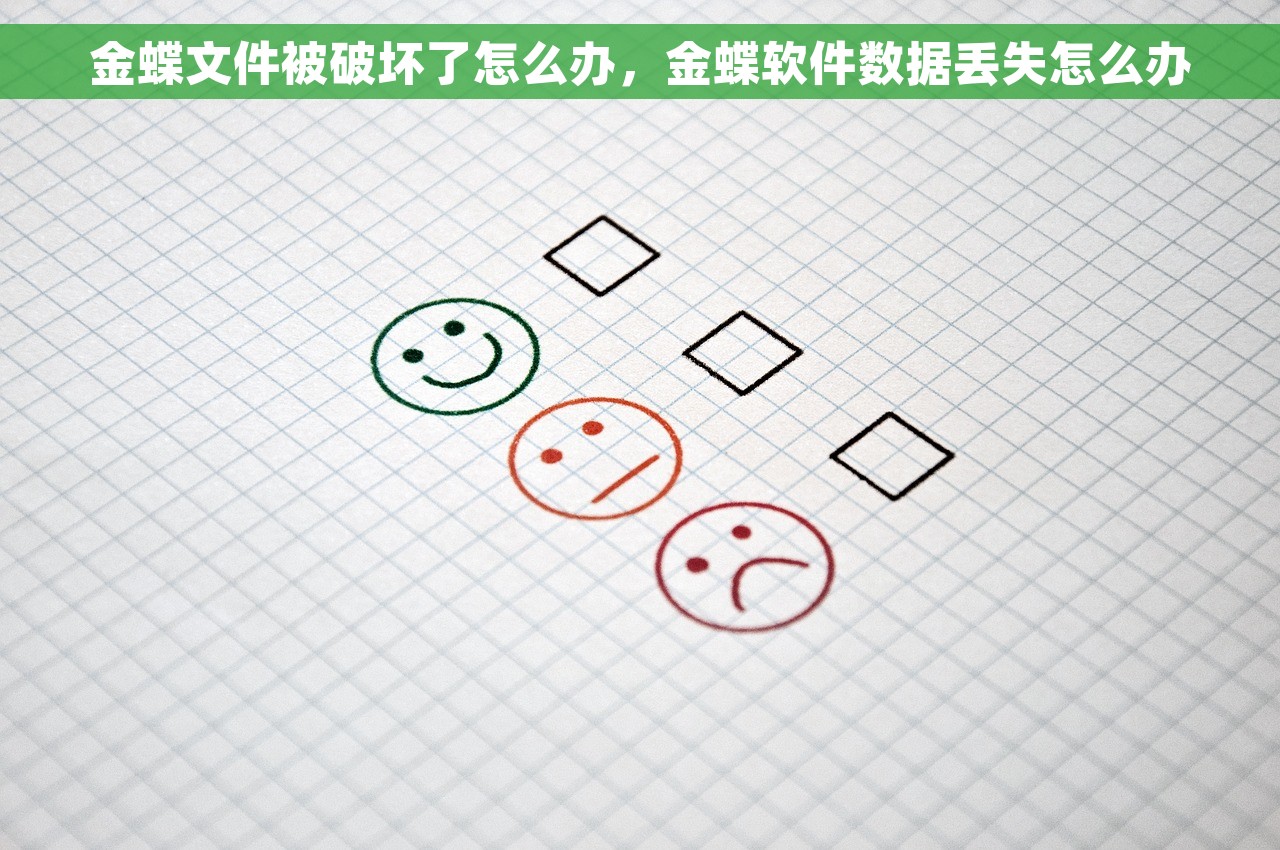 金蝶文件被破坏了怎么办，金蝶软件数据丢失怎么办